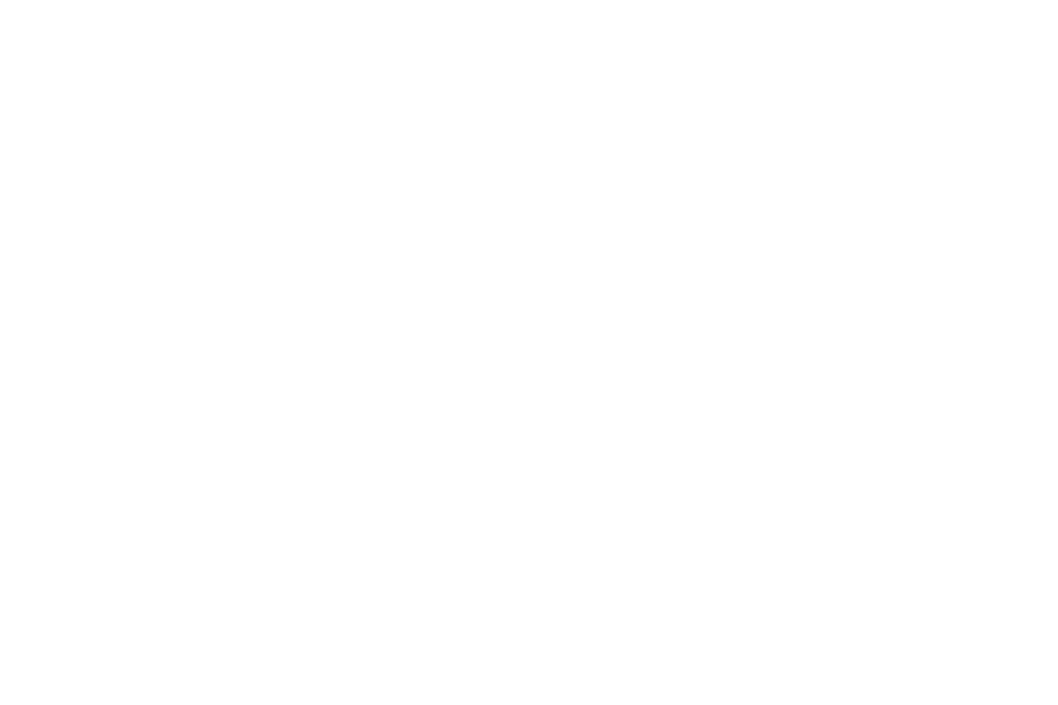 Didier Delmas signature